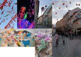 Erasmus+ stínování učitele grafického designu ve Slovinsku