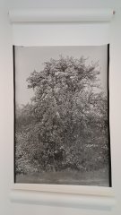 Exkurze do Tiskárny Protisk