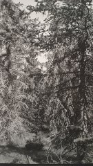 Exkurze do Tiskárny Protisk