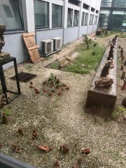 Odborná stáž Erasmus+ v EASR, Porto